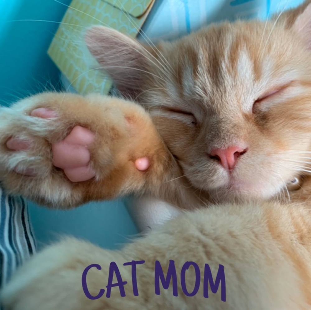 Meet your Posher, Kelly